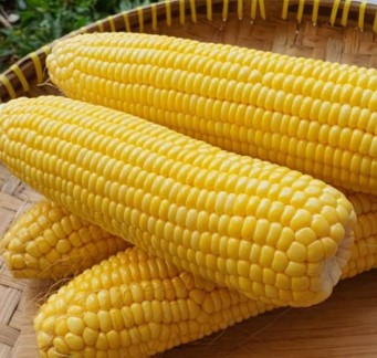 Jagung 1Kg