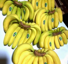 Pisang Ambon 1 Sisir