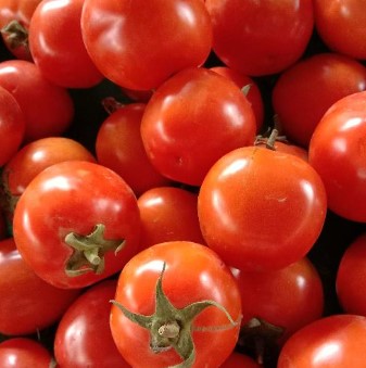 Tomat 1Kg